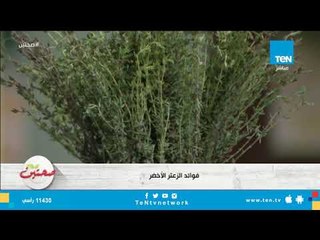 تعرف على فوائد الزعتر الأخضر مع خبيرة التغذية كريس نصراني