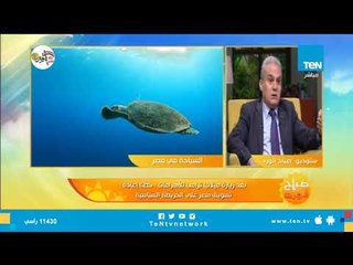 خبير سياحي : مصر تمتلك كنوز لم يتم الترويج لها