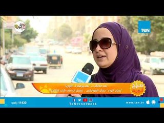 بعد مطالب بـتصديرهم لـ كوريا صباح الورد يسأل المواطنين.. نعمل إيه في كلاب الشوارع؟