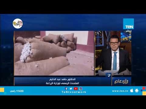 المتحدث الرسمى لوزارة الزراعة: شركات تسويق تابعة لـ قطاع الأعمال مهمتها تسويق القطن من الفلاحين