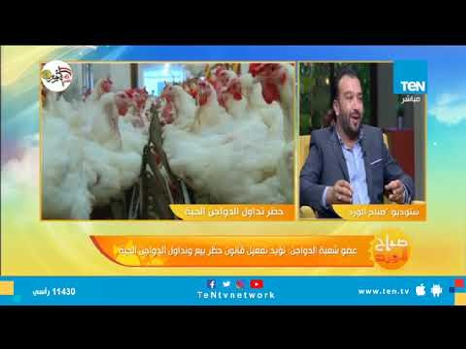 شعبة الدواجن تطالب بتوفير قروض ميسرة لأصحاب محلات الطيور الحية لتحويلها إلى مجمدة