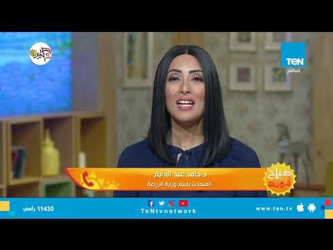 صباح الورد | أخر مهلة لسداد الضريبة العقارية المستحقة دون غرامة