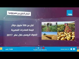 التبادل التجاري بين مصر وروسيا