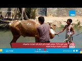 وزير الري لـ TeN: هذه هي جهود الوزارة لترشيد استخدام المياه