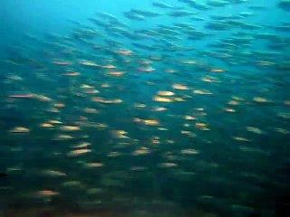 김해출장안마 -100%ョ안전Ø1Øg9528b0391｛카톡KM800｝ダ김해전지역출장마사지샵김해출장hk안마co김해출장마사지황형♪⇔∃출장여대생일본인출장