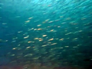 양산출장안마 -100%ョ안전Ø7Øg5222k7803 [카톡KB600]ド양산전지역출장마사지샵양산출장hk안마co양산출장마사지황형◆↓∈서비스1위호텔콜걸