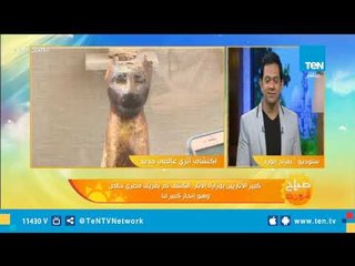 أغرب ما تم اكتشافه في مقبرة مومياوات الحيوانات فى منطقة سقارة