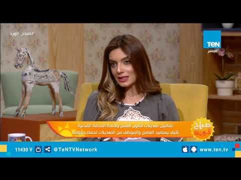 وكيل قوى البرلمان تزف بشرى سارة للعمالة الغير منتظمة والمؤقتة