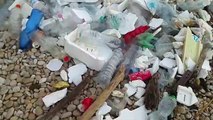 Bisceglie: la mareggiata svela centinaia di rifiuti plastici, a rischio salute