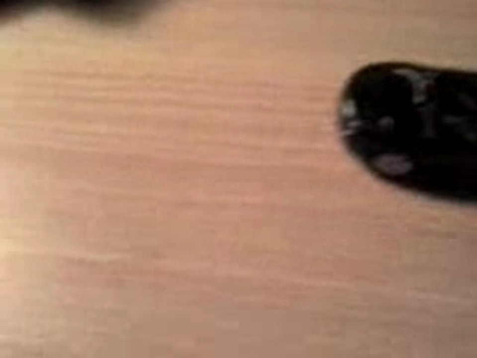 VideoDJ (1)