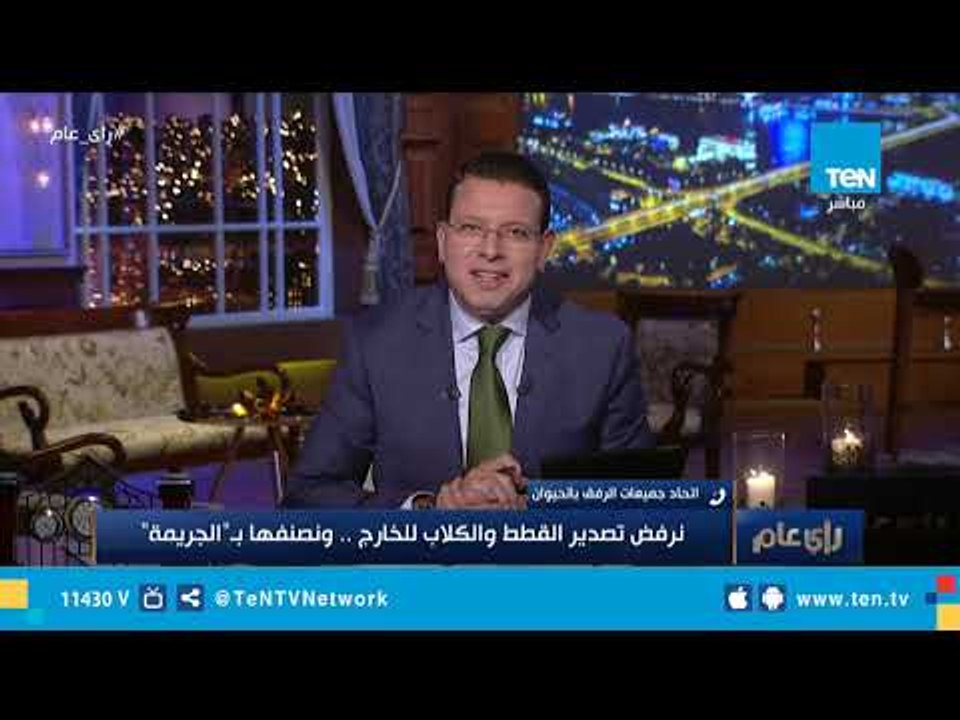 نائبة رئيس جمعيات الرفق بالحيوان: نرفض فكرة تصدير الكلاب والقطط.. ونصفها بـ"الجريمة"