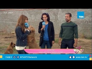 "لقطة 2018"  حتى الكلاب بتغيير.. كلب يسترق قبلة من المذيعة أثناء التصوير