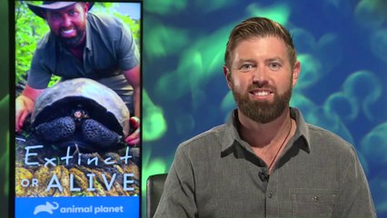 IR Interview: Forrest Galante For "Extinct Or Alive" [Animal Planet]