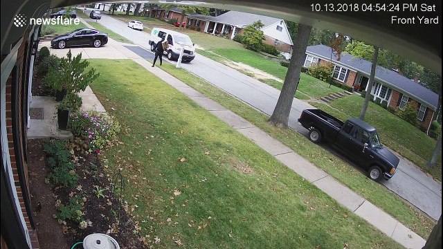 Instant karma for careless delivery driver when he steps in dog poop