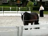 Haras de la Roche sur Yon 2