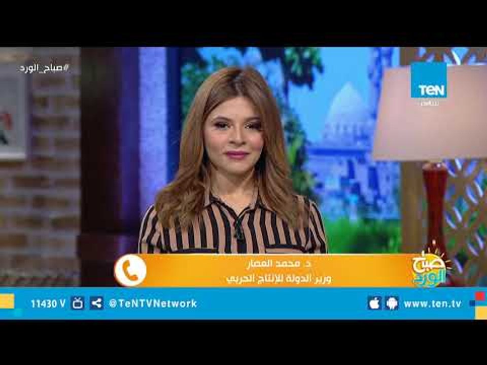 وزير الإنتاج الحربي: مصر ستشهد يوم تاريخي بافتت...