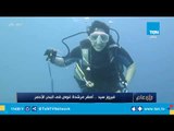 فيروز سيد.. أصغر مرشدة غوص في البحر الأحمر