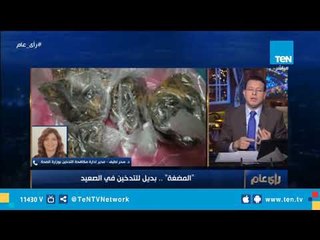 مدير إدار ة مكافحة التدخين بـ"الصحة" : "المضغة" مش مخدرات ولكن بتسبب سرطان الفم