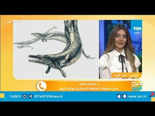 مدير المحميات يكشف تفاصيل مثيرة وغريبة حول اكتشاف حوت عمره 40 مليون سنة