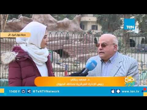 صباح الورد فى زيارة لحديقة الحيوان بالجيزة كيف يعيش الحيوانات ساعات البرد الشديد؟