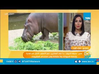 ردآ على الساخرين..مدير حديقة الحيوان: مش بس بنشرب الحيوانات كوباية بلبن وبنأكلهم فاكهة