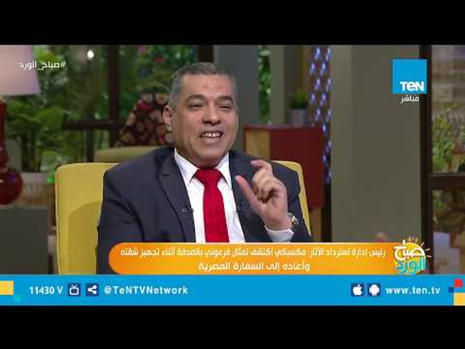 رئيس إدارة استرداد الآثار: الآثار المصرية المهربة للخارج زي "السمك في البحر" لا يمكن حصرها