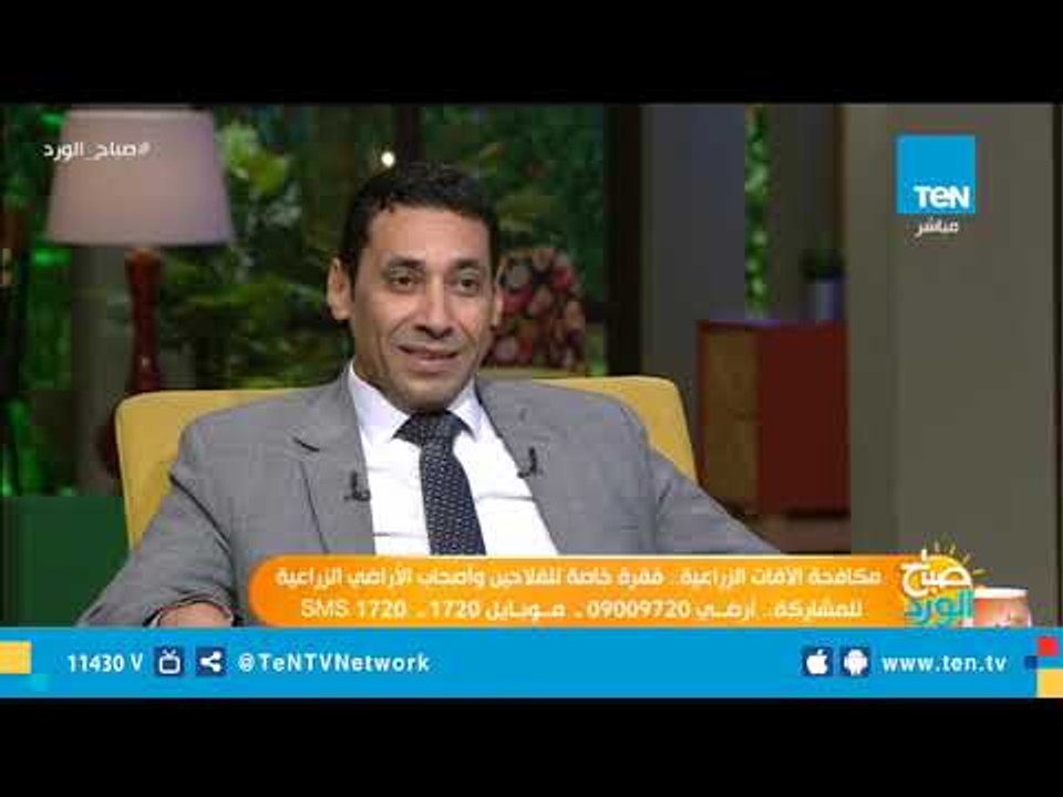 «الزراعة» ترفع درجة الاستعداد القصوى لمواجهة «أسراب الجراد» على الحدود