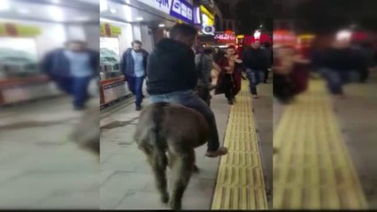 Elazığ'da İşlek Caddede 'Eşekli' Tur