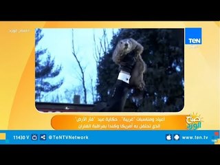 أعياد ومناسبات "غريبة" .. حكاية عيد  "فأر الأرض" الذى تحتفل به أمريكا وكندا بمراقبة الفئران