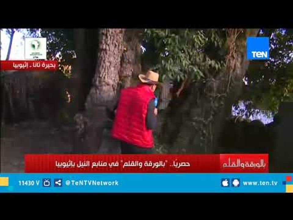 الديهي من أمام إحدى الشجرات العتيقة في إثيوبيا: "الشجرة دي أقدم من قطر وتاريخها كله"