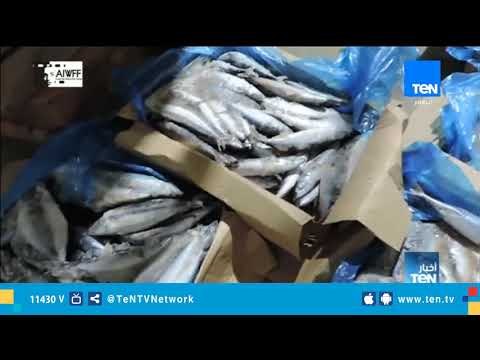 مباحث التموين تضبط 50 طن من الأسماك والكبد الغير صالحة للإستهلاك الآدمي بمدينة العبور