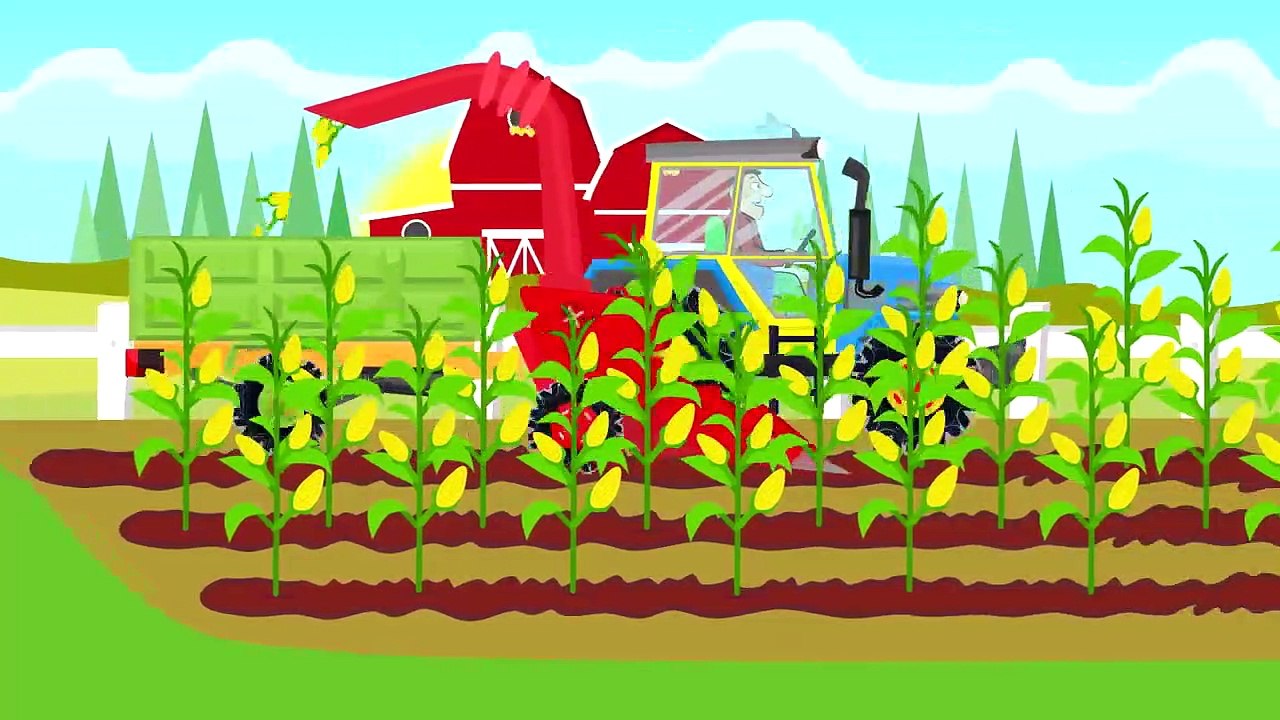 Un Coloré Tracteur coupes de maïs à pop - corn- Vidéo pour les Enfants & Bébés | Animacje Traktory