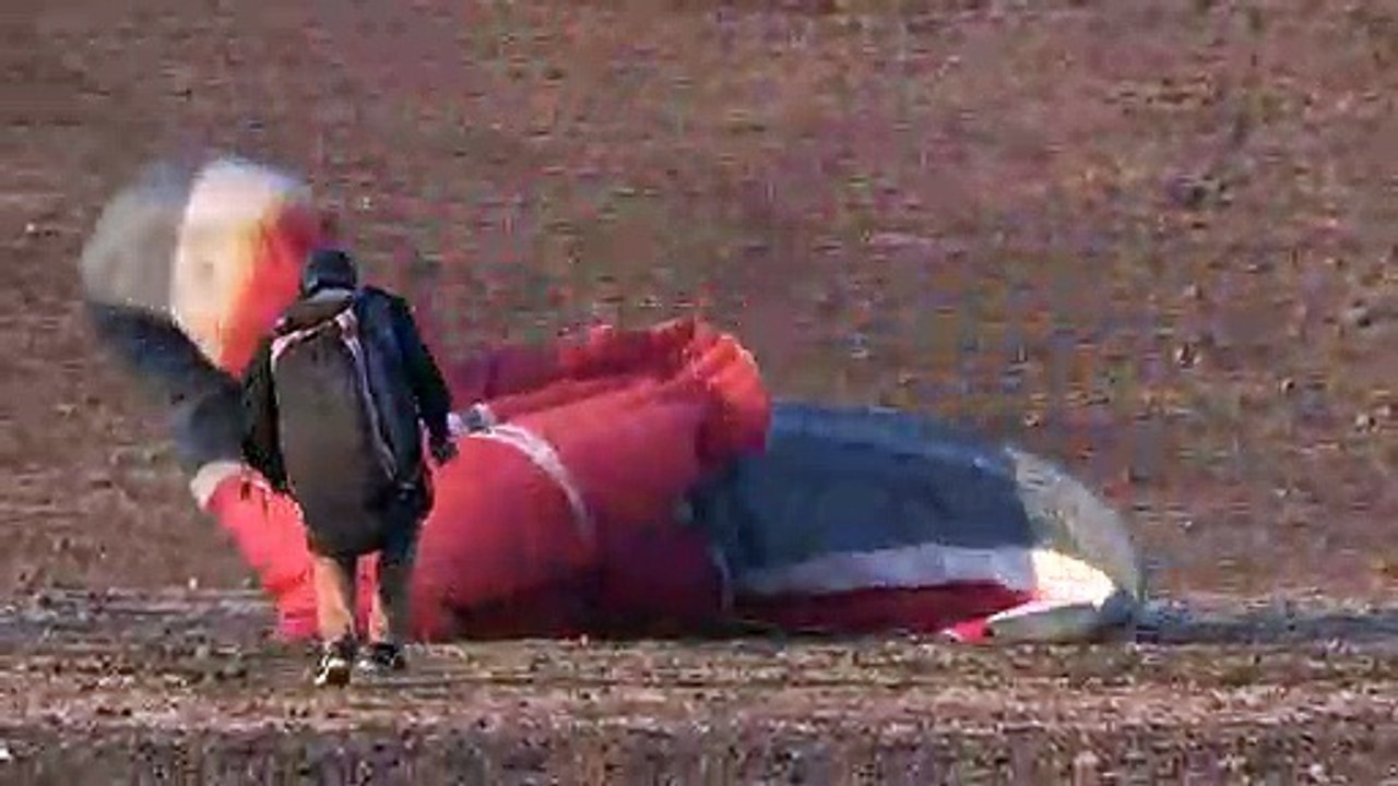 Der mit dem Bussard fliegt