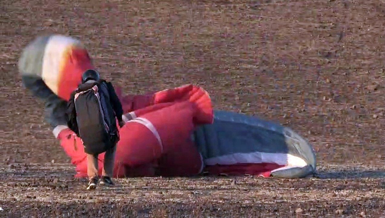 Der mit dem Bussard fliegt