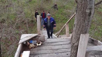 Üzümü Toplayamayınca Ağacın Gövdesine Kameriye Yaptı