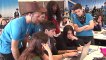 Más de 300 jóvenes participan en el HP CodeWars de programación en su quinta edición