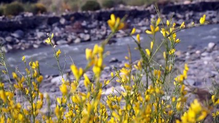 Рио Гуадальфео трекинг. Оргива. Испания