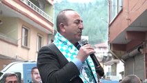 Çavuşoğlu: 