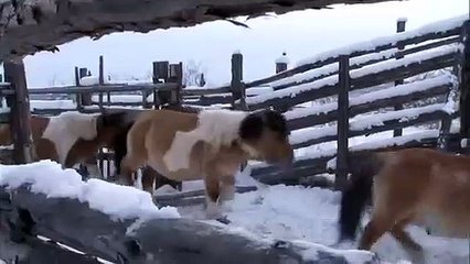 동작구출장안마 -100%ョ안전Ø7Øc7575vØØ69≪카톡MGM1472≫동작구전지역출장마사지샵동작구출장hk안마co동작구출장마사지황형∑⇒∃출장전문출장마사지샵