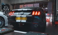 VÍDEO: Querrás tener este Ford Mustang 5.0, ¡Cómo suena!