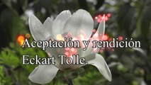 ACEPTACIÓN Y RENDICIÓN por Eckart Tolle.