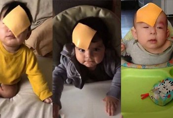 فيديو: تحدى جديد يجتاح الإنترنت.. إلقاء شرائح الجبنة على وجوه الأطفال