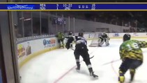 ECHL Reading Royals 4 at Norfolk Admirals 2