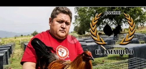 Entrevista Rancho El Amarillo Parte 1