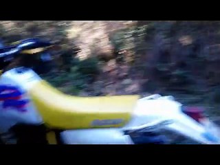 rando enduro  trail  Alex  jacques 01 03 2019