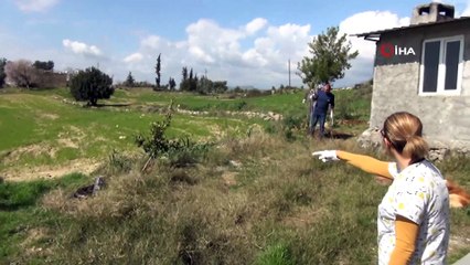 Kafasını pet şişeye sıkıştırdı, günlerce aç ve susuz kaldı