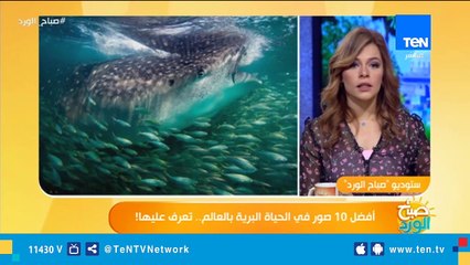 عالم لم تتعرف عليه من قبل .. أفضل 10 صور للطبيعة والحياة البرية