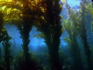 대구출장안마 -여대생！Ø7Øj4949h6356≪카톡GM1212≫대구전지역출장마사지대구출장ko안마sj대구출장마사지'오피걸ωÆÐ애인대행출장만남