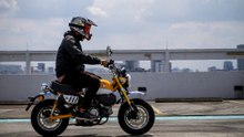 Si pemalu usah naik Monkey