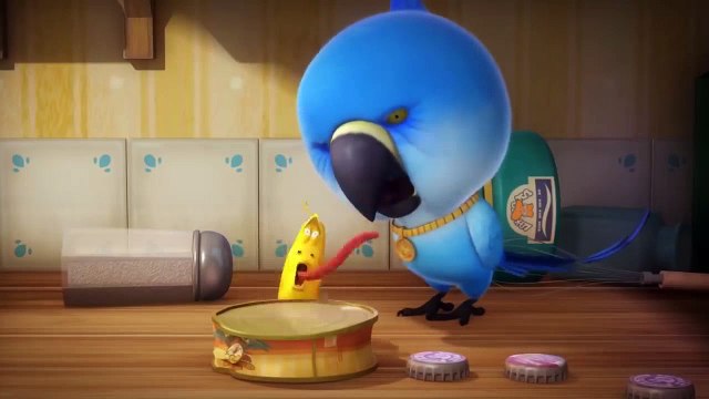 LARVA | VAMPIRE JAUNE | Films de dessins animés | Cartoon pour les enfants | WildBrain